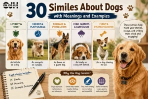 Similes About Dogs